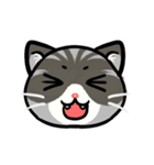 うちのニャンコたち(2)（個別スタンプ：12）