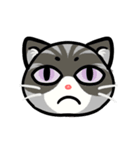 うちのニャンコたち(2)（個別スタンプ：13）
