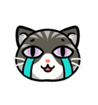 うちのニャンコたち(2)（個別スタンプ：15）