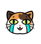 うちのニャンコたち(2)（個別スタンプ：31）