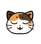 うちのニャンコたち(2)（個別スタンプ：32）