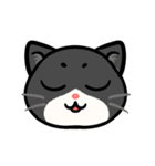 うちのニャンコたち(2)（個別スタンプ：40）