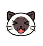 うちのニャンコたち(1)（個別スタンプ：4）
