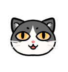 うちのニャンコたち(1)（個別スタンプ：26）