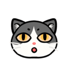 うちのニャンコたち(1)（個別スタンプ：27）