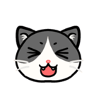 うちのニャンコたち(1)（個別スタンプ：28）