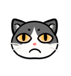 うちのニャンコたち(1)（個別スタンプ：29）