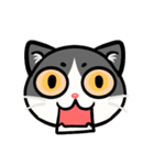 うちのニャンコたち(1)（個別スタンプ：30）