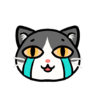 うちのニャンコたち(1)（個別スタンプ：31）