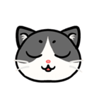 うちのニャンコたち(1)（個別スタンプ：32）