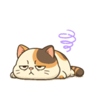 ゆる猫みけ（個別スタンプ：38）