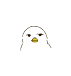 とりぎわく（個別スタンプ：15）