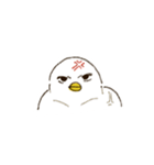 とりぎわく（個別スタンプ：16）