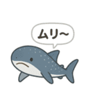 海のいきもの×ことばスタンプ（個別スタンプ：26）
