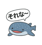 海のいきもの×ことばスタンプ（個別スタンプ：27）