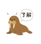 海のいきもの×ことばスタンプ（個別スタンプ：35）