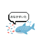 海のいきもの×ことばスタンプ（個別スタンプ：38）