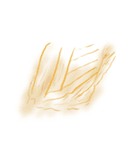 2025 07 14 スタンプ（個別スタンプ：36）