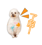藤井家のこころ＆さくら＆コロ＆フクちゃん（個別スタンプ：2）