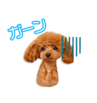 塚本家のピノちゃん（個別スタンプ：4）