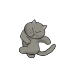 私の太った猫たちの人生（個別スタンプ：3）