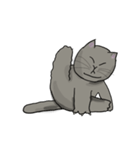 私の太った猫たちの人生（個別スタンプ：8）