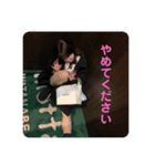 おもしれー女.（個別スタンプ：5）