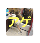 おもしれー女.（個別スタンプ：6）