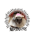 もっちゃん 2（個別スタンプ：2）