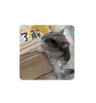 もっちゃん 2（個別スタンプ：9）
