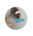もっちゃん 2（個別スタンプ：10）