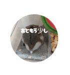 もっちゃん 2（個別スタンプ：13）