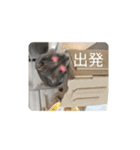 もっちゃん 2（個別スタンプ：14）
