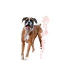 パワ子スタンプ1（個別スタンプ：3）