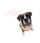 パワ子スタンプ1（個別スタンプ：6）