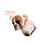 パワ子スタンプ1（個別スタンプ：7）