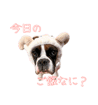 パワ子スタンプ1（個別スタンプ：11）