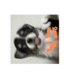 ピノ時々ミル（個別スタンプ：2）