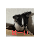 ピノ時々ミル（個別スタンプ：3）