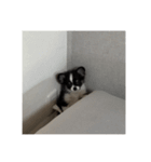 ピノ時々ミル（個別スタンプ：14）