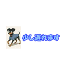 アジピン連絡スタンプ（個別スタンプ：3）