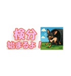 アジピン連絡スタンプ（個別スタンプ：10）