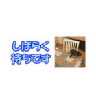 アジピン連絡スタンプ（個別スタンプ：11）