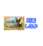 アジピン連絡スタンプ（個別スタンプ：16）