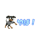 アジピン連絡スタンプ（個別スタンプ：20）