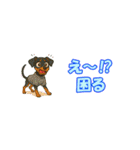 アジピン連絡スタンプ（個別スタンプ：38）