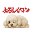 キモブサカワ12(トイプードル)（個別スタンプ：3）