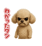 キモブサカワ12(トイプードル)（個別スタンプ：6）