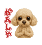 キモブサカワ12(トイプードル)（個別スタンプ：13）