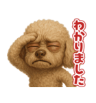 キモブサカワ12(トイプードル)（個別スタンプ：24）
